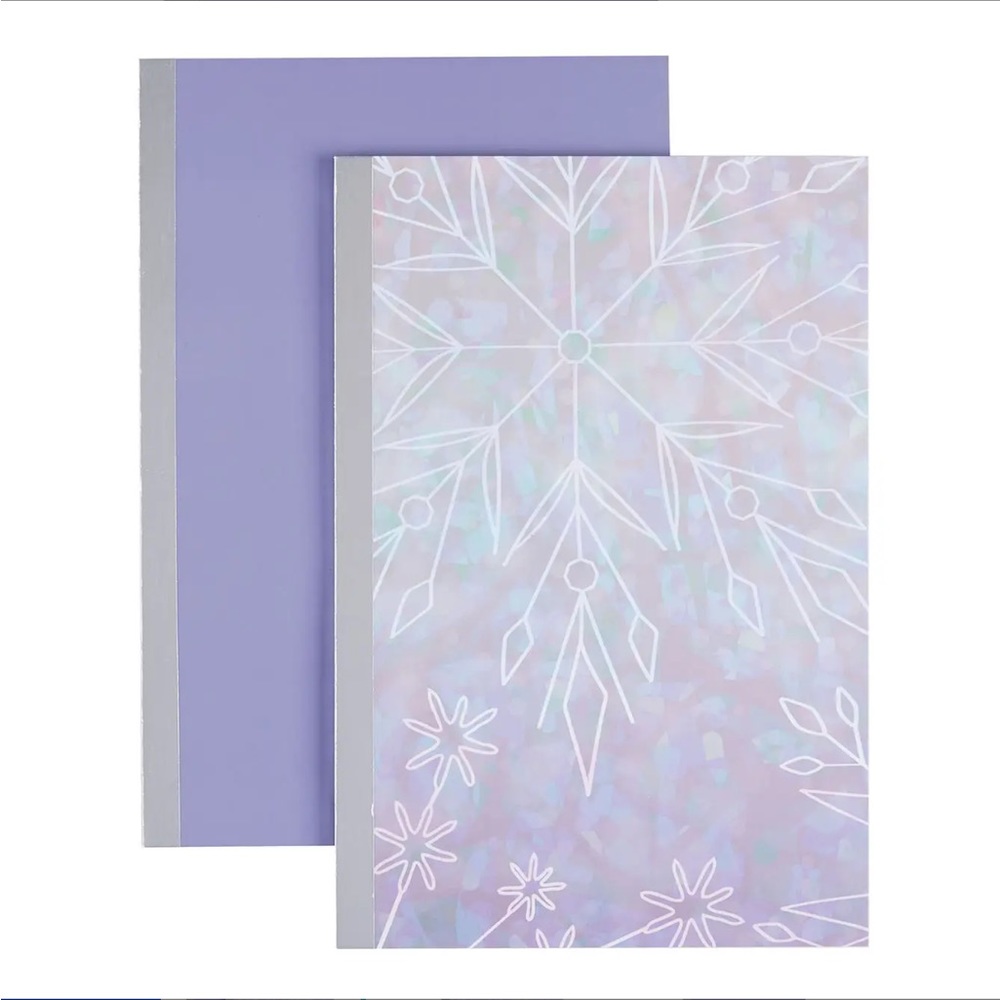 Erin Condren Metallic Spine Notebook Duo